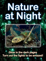 Nature_at_night