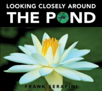 Looking_closely_around_the_pond