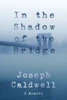 In_the_shadow_of_the_bridge