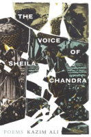 The_voice_of_Sheila_Chandra