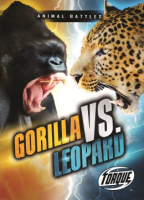 Gorilla_vs__leopard