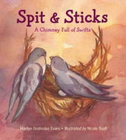 Spit_and_sticks