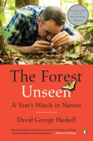 The_forest_unseen