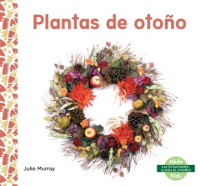 Plantas_de_oto__o