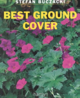 Best_ground_cover
