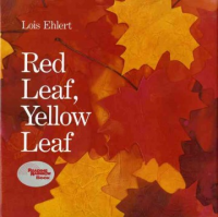 Red_leaf__yellow_leaf