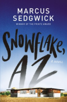 Snowflake__AZ