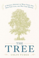 The_tree