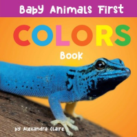 Colors_book