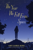 The_year_we_fell_from_space