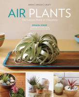 Air_plants