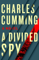 A_divided_spy