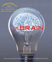 The_brain