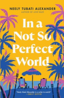 In_a_not_so_perfect_world