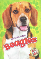 Beagles