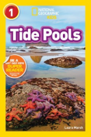 Tide_pools