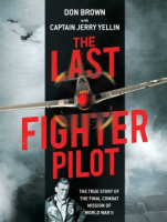 The_last_fighter_pilot