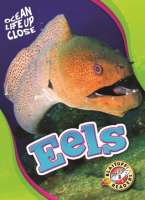 Eels