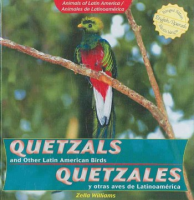 Quetzals_and_other_Latin_American_birds__