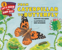 From_caterpillar_to_butterfly