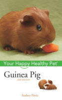 Guinea_pig