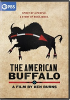 The_American_buffalo