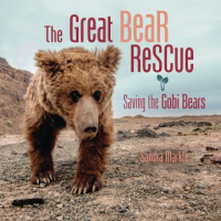 The_great_bear_rescue