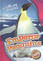 Emperor_penguins