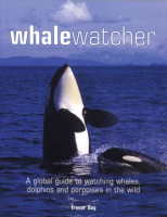 Whale_watcher