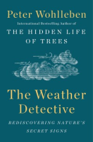 The_weather_detective