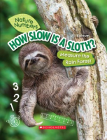 How_slow_is_a_sloth_