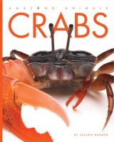 Crabs