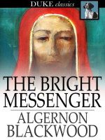 The_Bright_Messenger