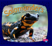 Salamanders