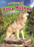 Gray_wolves