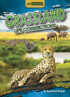 Grassland_life_connections