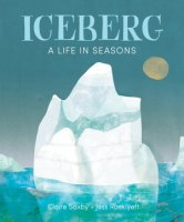 Iceberg