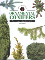 Identifying_ornamental_conifers