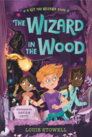 The_wizard_in_the_wood