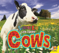 Cows