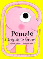 Pomelo begins to grow