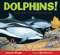 Dolphins_