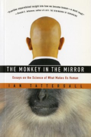 The_monkey_in_the_mirror