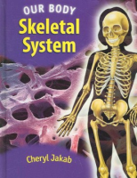 The_skeletal_system