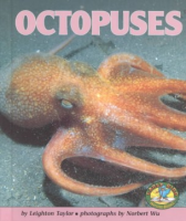 Octopuses