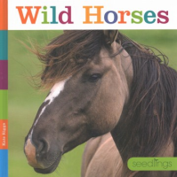 Wild_horses