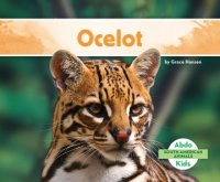 Ocelote by Hansen, Grace