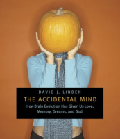 The_accidental_mind