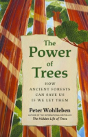 The_power_of_trees