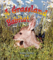 A_grassland_habitat